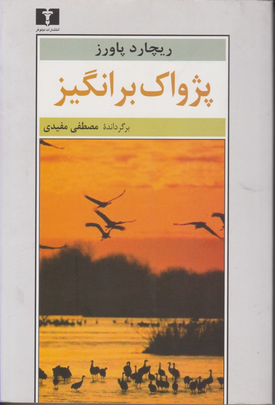 پژواک برانگیز