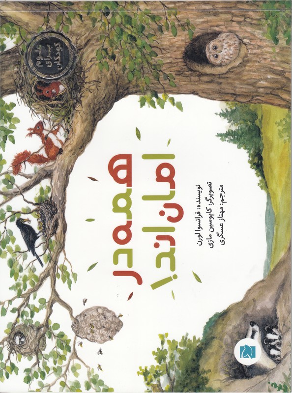 همه در امان اند