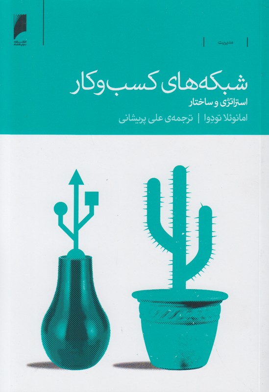 شبکه های کسب و کار (استراتژی و ساختار)